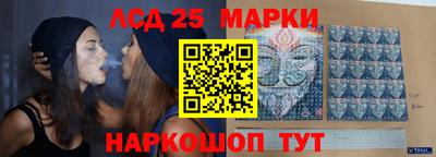 прущие грибы Можга