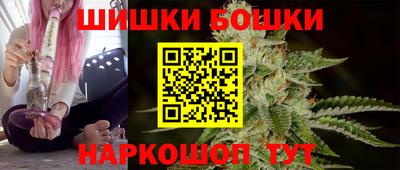 прущие грибы Можга