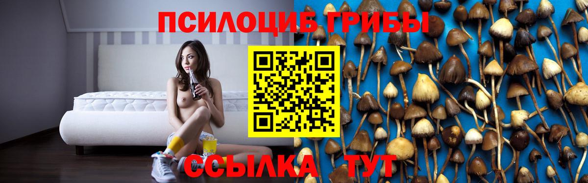 Галлюциногенные грибы мухоморы Каменск-Уральский